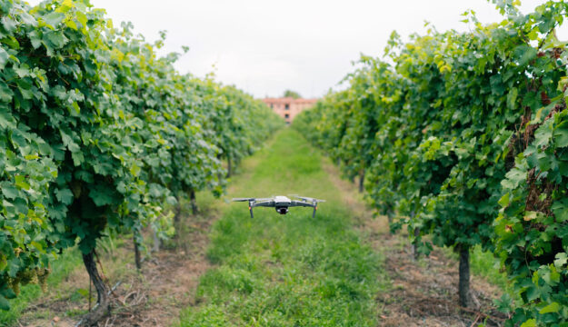 27 million euros for future research and viticulture with Wine Research Team