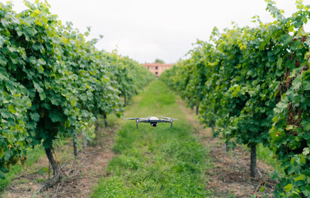 CARLO PETRINI, FONDAZIONE MACH, INNOVAZIONE, PNRR, SLOW FOOD, UNIVERSITÀ DI SCIENZE GASTRONOMICHE DI POLLENZO, VITIVINICOLTURA, WINE RESEARCH TEAM, Italia