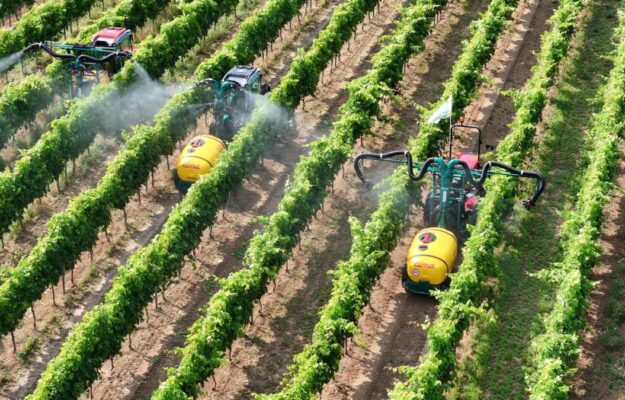 AGRICOLTURA, AMBROGIO E GIOVANNI FOLONARI TENUTE, CHIANTI CLASSICO, ENOVITIS IN CAMPO, EXPORT, MACCHINARI AGRICOLI, MADE IN ITALY, TENUTA DI NOZZOLE, UNIONE ITALIANA VINI, VITICOLTURA, Italia