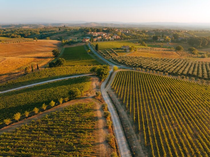 I vigneti di Felsina, in Chianti Classico