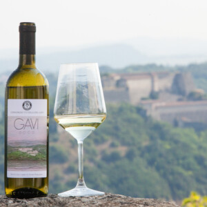 Il Gavi Docg si consolida all&rsquo;estero e cresce in Italia. L&rsquo;enoturismo come volano di crescita