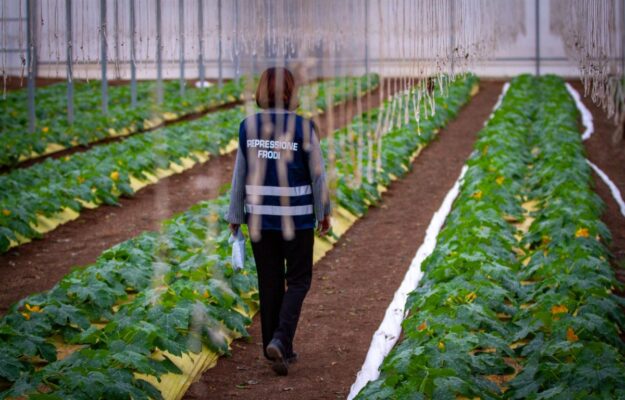 AGROALIMENTARE ITALIANO, BIOLOGICO, CONTROLLI, FELICE ASSENZA, FRANCESCO LOLLOBRIGIDA, FRODI AGROALIMENTARI, ICQRF, INDICAZIONI GEOGRAFICHE, ITALIAN SOUNDING, MINISTRO DELL'AGRICOLTURA, QUALITA, Italia