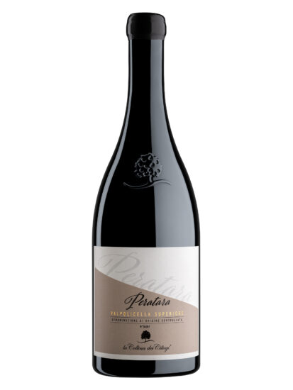 Su i Vini di WineNews