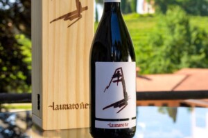 Nasce nel Collio il vino ufficiale della Santa Sede: Laudato Sie della Fondazione Villa Russiz