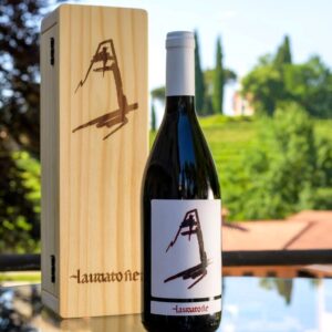 Nasce nel Collio il vino ufficiale della Santa Sede: Laudato Sie della Fondazione Villa Russiz