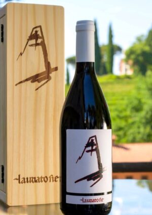 Nasce nel Collio il vino ufficiale della Santa Sede: Laudato Sie della Fondazione Villa Russiz
