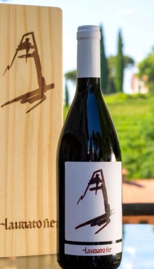 Nasce nel Collio il vino ufficiale della Santa Sede: Laudato Sie della Fondazione Villa Russiz