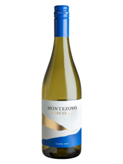 Su i Vini di WineNews