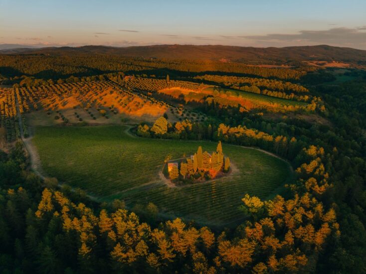 I vigneti di Felsina, in Chianti Classico
