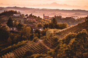 Il Nizza Docg ora ha il suo Consorzio. Per crescere ancora (e arrivare a 5 milioni di bottiglie)