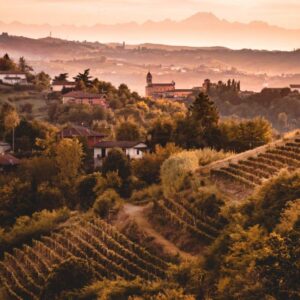 Il Nizza Docg ora ha il suo Consorzio. Per crescere ancora (e arrivare a 5 milioni di bottiglie)