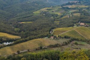 Italia &ldquo;Paese forestale&rdquo;: i comuni del vino pi&ugrave; &ldquo;boscosi&rdquo; per ettari di bosco o indice di boscosit&agrave;