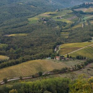 Italy as a &ldquo;forest country&rdquo;: the most &ldquo;wooded&rdquo; wine municipalities by hectares or woodiness index