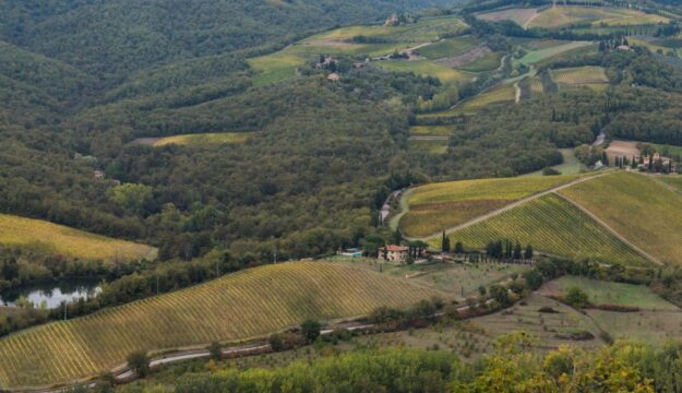 Italia &ldquo;Paese forestale&rdquo;: i comuni del vino pi&ugrave; &ldquo;boscosi&rdquo; per ettari di bosco o indice di boscosit&agrave;