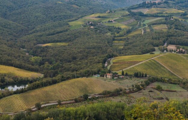 BOSCO, COMUNI DEL VINO, CONSORZIO CAIRE, FORESTE IN COMUNE, INDICE DI BOSCOSITÀ, ISTAT, LEGAMBIENTE, PEFC ITALIA, UNCEM, Italia