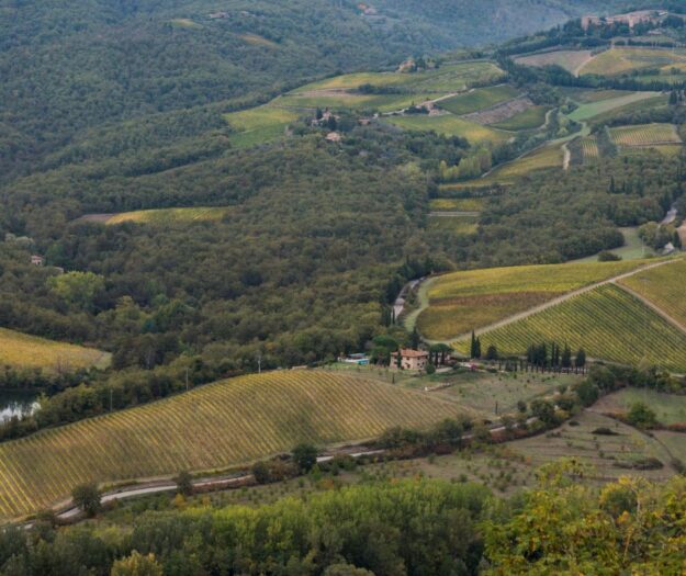 Italy as a &ldquo;forest country&rdquo;: the most &ldquo;wooded&rdquo; wine municipalities by hectares or woodiness index