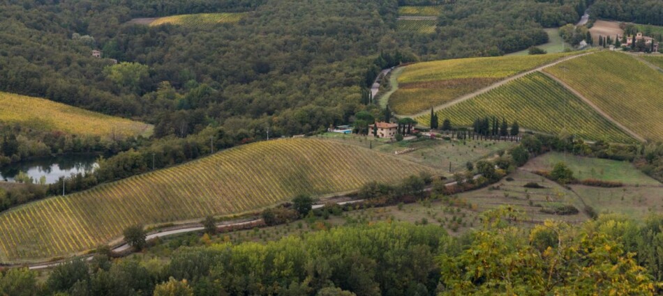 Italia &ldquo;Paese forestale&rdquo;: i comuni del vino pi&ugrave; &ldquo;boscosi&rdquo; per ettari di bosco o indice di boscosit&agrave;