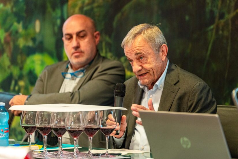 Sergio Germano e Giuliano Viglione