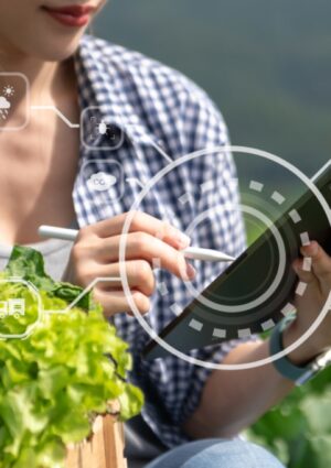 Salute, spreco, trasparenza: 118 aziende in prima linea per innovare il settore agroalimentare