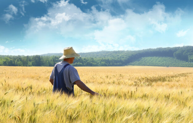 BANCA NAZIONALE DELLE TERRE AGRICOLE, CAPORALATO, GIOVANI, ISMEA, TERRENI AGRICOLI, TERZO SETTORE, Non Solo Vino