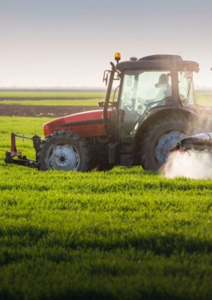 Ue: rafforzare la riserva agricola Pac con 300 milioni per gli agricoltori colpiti dalla guerra