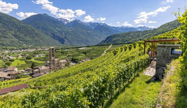 Vino e agrifood, l&rsquo;Italia accelera con investimenti pubblici record (16,8 miliardi di euro)