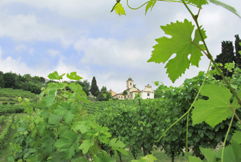 Vicara, nel Monferrato, scommette sul Grignolino