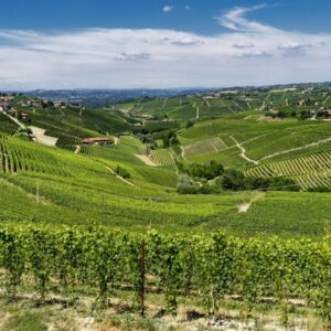 Distretti agroalimentari italiani, cresce l&rsquo;export. Il vino &ldquo;flette&rdquo;, ma resta leader
