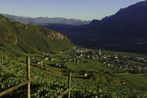 &ldquo;Decanter World Wine Awards&rdquo; 2026: Alto Adige al top, Terlano superstar con 5 &ldquo;Platinum&rdquo;