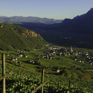 &ldquo;Decanter World Wine Awards&rdquo; 2026: Alto Adige al top, Terlano superstar con 5 &ldquo;Platinum&rdquo;