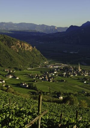 &ldquo;Decanter World Wine Awards&rdquo; 2026: Alto Adige al top, Terlano superstar con 5 &ldquo;Platinum&rdquo;