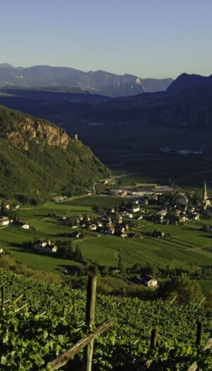 &ldquo;Decanter World Wine Awards&rdquo; 2026: Alto Adige al top, Terlano superstar con 5 &ldquo;Platinum&rdquo;
