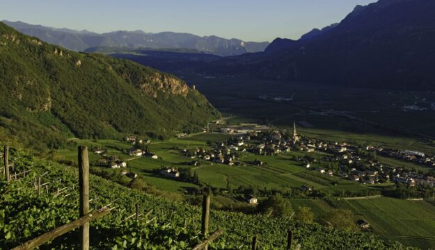 &ldquo;Decanter World Wine Awards&rdquo; 2026: Alto Adige al top, Terlano superstar con 5 &ldquo;Platinum&rdquo;