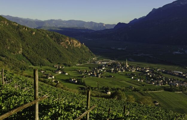 ALTO ADIGE, CANTINA TERLANO, CONCORSI, CRITICA, DECANTER, DECANTER WORLD WINE AWARDS, EXPORT, MERCATI, UK, Mondo