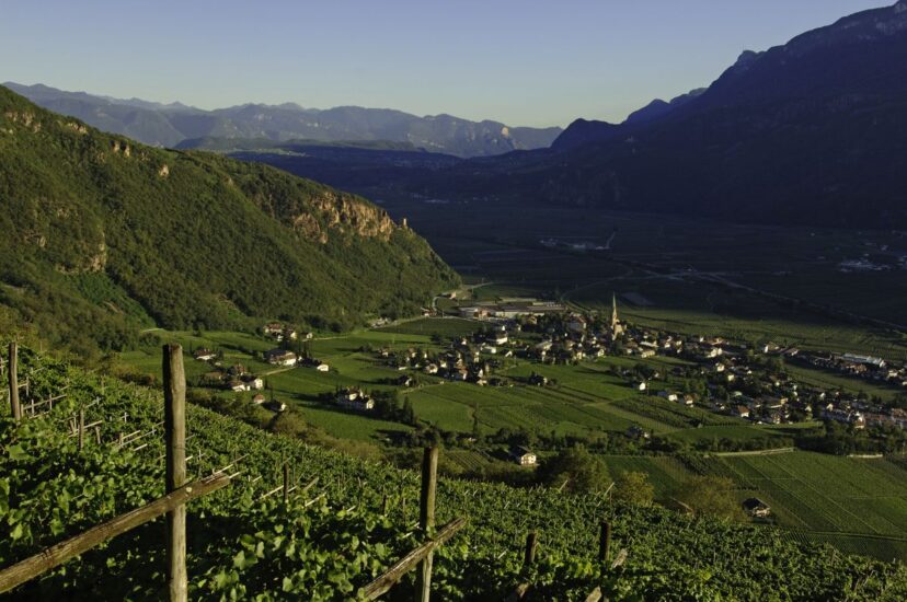 Italien Südtirol Terlan Weinanbau Blick auf Teran und das Etsch-Tal