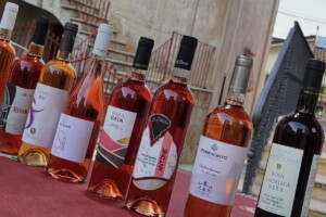 Un marchio per i &ldquo;Vini Arbereshe&rdquo;: il sogno della pi&ugrave; grande minoranza etnico-linguistica d&rsquo;Italia