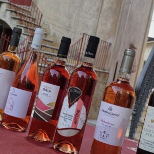 Un marchio per i &ldquo;Vini Arbereshe&rdquo;: il sogno della pi&ugrave; grande minoranza etnico-linguistica d&rsquo;Italia