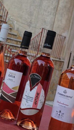 Un marchio per i &ldquo;Vini Arbereshe&rdquo;: il sogno della pi&ugrave; grande minoranza etnico-linguistica d&rsquo;Italia
