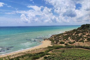 I Quaderni di WineNews - La Sicilia