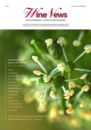 I vini di WineNews - N. 418