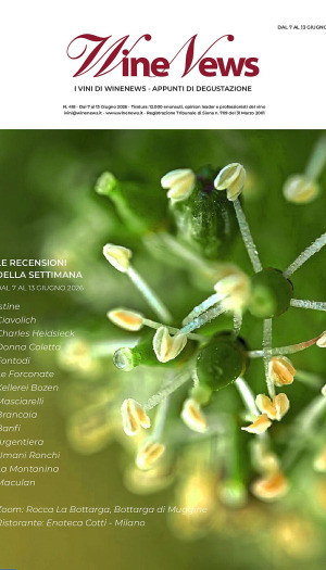 I Vini di WineNews