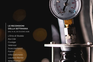 I Vini di WineNews - N. 419