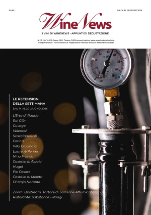 I Vini di WineNews - N. 419