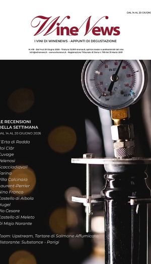 I Vini di WineNews