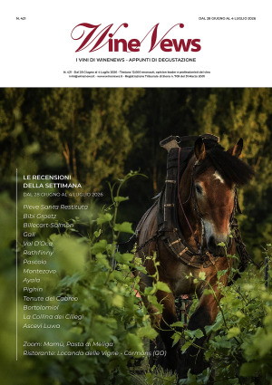 I Vini di WineNews - N. 421