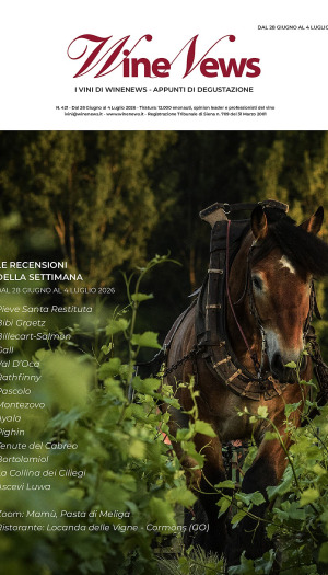 I Vini di WineNews