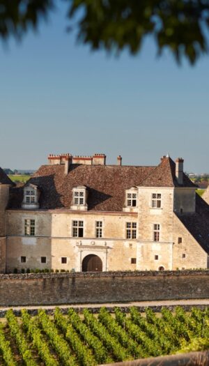 Asta record in Borgogna, by Christie&rsquo;s, per restaurare l&rsquo;antica Abbazia di C&icirc;teaux