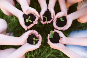 Agricoltura sociale in Italia, al via il bando da 140.000 euro per i progetti pi&ugrave; innovativi