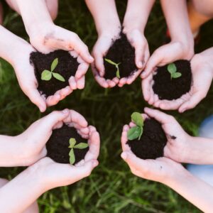 Agricoltura sociale in Italia, al via il bando da 140.000 euro per i progetti pi&ugrave; innovativi