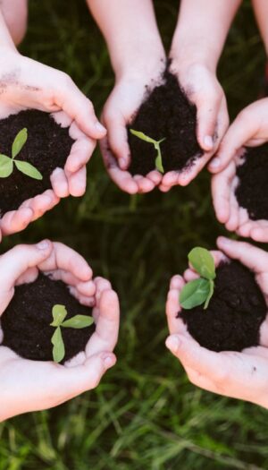 Agricoltura sociale in Italia, al via il bando da 140.000 euro per i progetti pi&ugrave; innovativi
